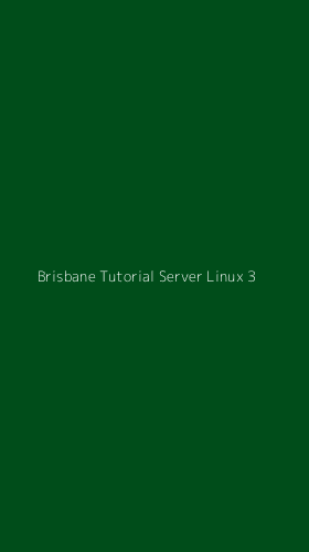 Tampilan Antarmuka Aplikasi Brisbane Tutorial Server Linux - 3