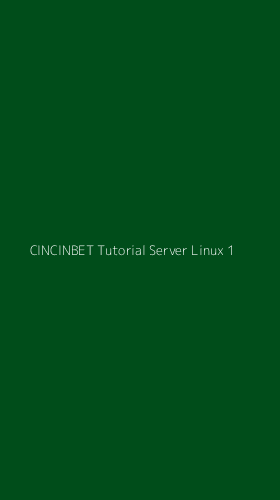 Tampilan Antarmuka Aplikasi Cincinbet Tutorial Server Linux - 1