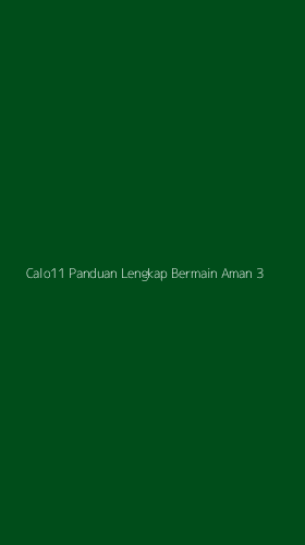 Tampilan Antarmuka Aplikasi Calo11 Panduan Lengkap Bermain Aman - 3