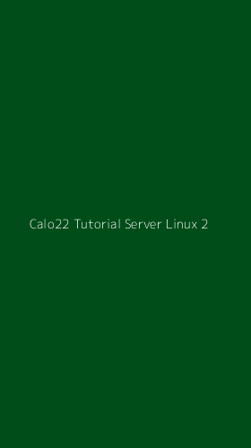 Tampilan Antarmuka Aplikasi Calo22 Tutorial Server Linux - 2