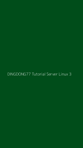 Tampilan Antarmuka Aplikasi Dingdong77 Tutorial Server Linux - 3