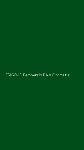 Tampilan Antarmuka Aplikasi Erigo4d Pembersih Ram Otomatis - 1