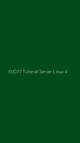 Tampilan Antarmuka Aplikasi Evo77 Tutorial Server Linux - 4