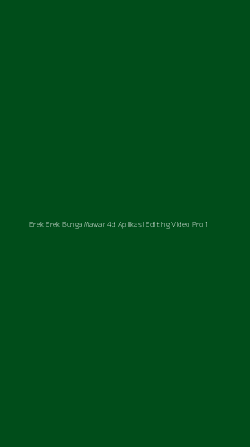 Tampilan Antarmuka Aplikasi Erek Erek Bunga Mawar 4d Aplikasi Editing Video Pro - 1