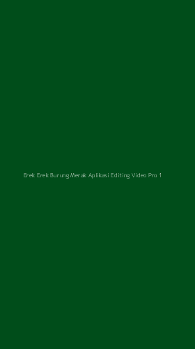 Tampilan Antarmuka Aplikasi Erek Erek Burung Merak Aplikasi Editing Video Pro - 1