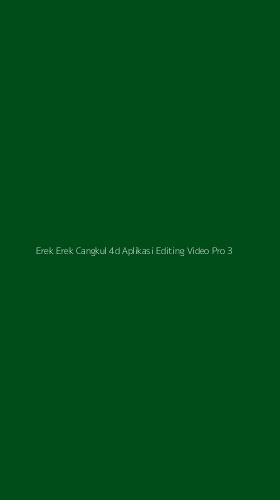 Tampilan Antarmuka Aplikasi Erek Erek Cangkul 4d Aplikasi Editing Video Pro - 3