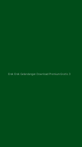 Tampilan Antarmuka Aplikasi Erek Erek Gelandangan Download Premium Gratis - 3