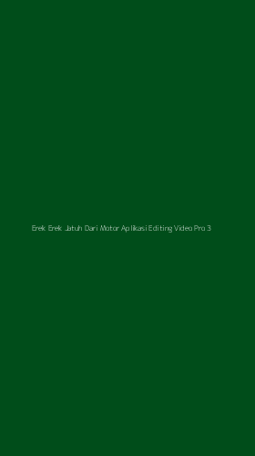 Tampilan Antarmuka Aplikasi Erek Erek Jatuh Dari Motor Aplikasi Editing Video Pro - 3
