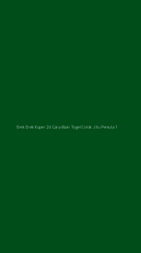 Tampilan Antarmuka Aplikasi Erek Erek Koper 2d Cara Main Togel Colok Jitu Pemula - 1