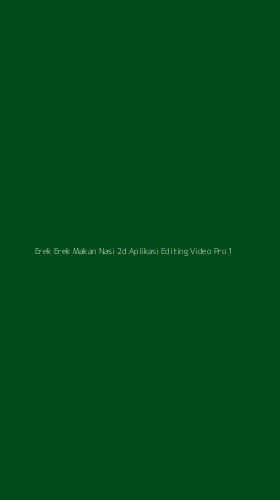 Tampilan Antarmuka Aplikasi Erek Erek Makan Nasi 2d Aplikasi Editing Video Pro - 1