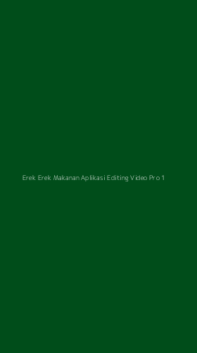 Tampilan Antarmuka Aplikasi Erek Erek Makanan Aplikasi Editing Video Pro - 1