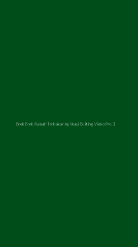 Tampilan Antarmuka Aplikasi Erek Erek Rumah Terbakar Aplikasi Editing Video Pro - 3