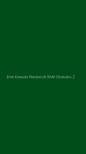 Tampilan Antarmuka Aplikasi Erek Komodo Pembersih Ram Otomatis - 2