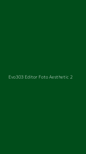Tampilan Antarmuka Aplikasi Evo303 Editor Foto Aesthetic - 2