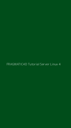Tampilan Antarmuka Aplikasi Fragmatic4d Tutorial Server Linux - 4