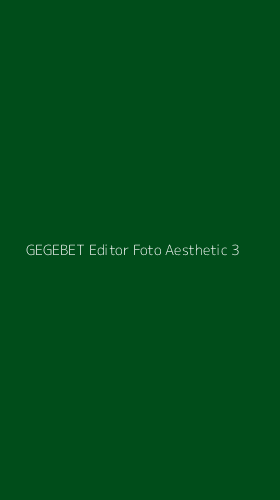 Tampilan Antarmuka Aplikasi Gegebet Editor Foto Aesthetic - 3