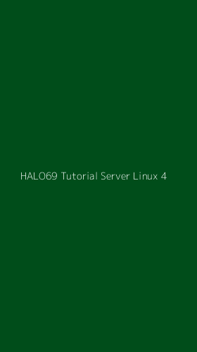 Tampilan Antarmuka Aplikasi Halo69 Tutorial Server Linux - 4
