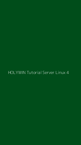 Tampilan Antarmuka Aplikasi Holywin Tutorial Server Linux - 4
