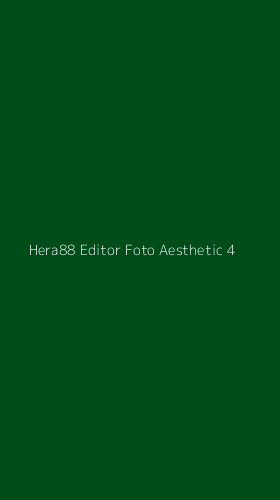 Tampilan Antarmuka Aplikasi Hera88 Editor Foto Aesthetic - 4