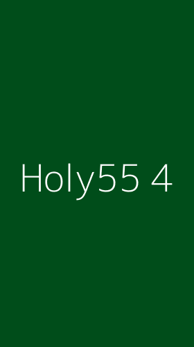Tampilan Antarmuka Aplikasi Holy55 - 4