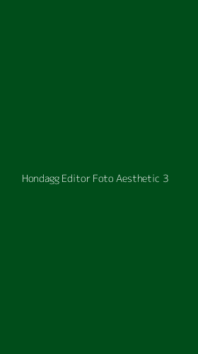 Tampilan Antarmuka Aplikasi Hondagg Editor Foto Aesthetic - 3