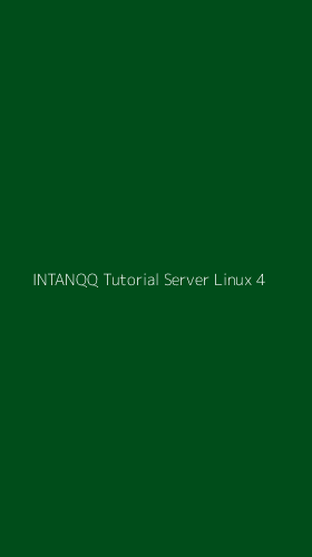 Tampilan Antarmuka Aplikasi Intanqq Tutorial Server Linux - 4