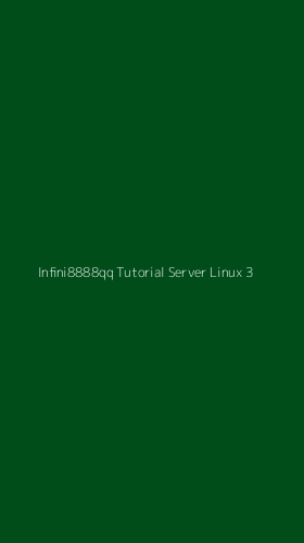 Tampilan Antarmuka Aplikasi Infini8888qq Tutorial Server Linux - 3