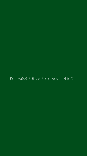 Tampilan Antarmuka Aplikasi Kelapa88 Editor Foto Aesthetic - 2