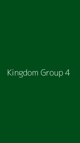 Tampilan Antarmuka Aplikasi Kingdom Group - 4