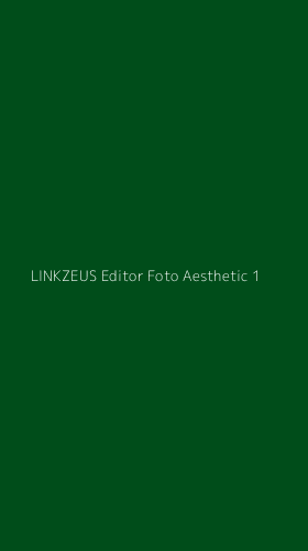 Tampilan Antarmuka Aplikasi Linkzeus Editor Foto Aesthetic - 1