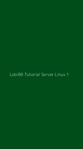 Tampilan Antarmuka Aplikasi Lobi89 Tutorial Server Linux - 1