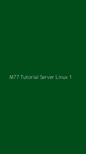 Tampilan Antarmuka Aplikasi M77 Tutorial Server Linux - 1