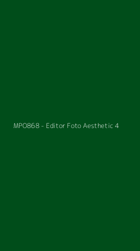 Tampilan Antarmuka Aplikasi MPO868 - Editor Foto Aesthetic - 4