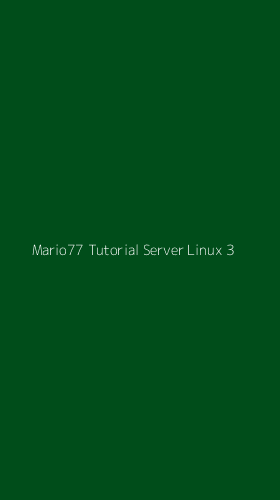 Tampilan Antarmuka Aplikasi Mario77 Tutorial Server Linux - 3