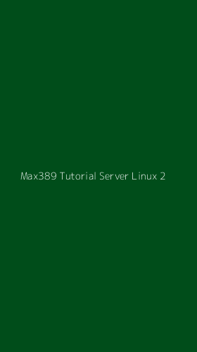 Tampilan Antarmuka Aplikasi Max389 Tutorial Server Linux - 2