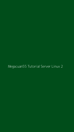 Tampilan Antarmuka Aplikasi Megacuan55 Tutorial Server Linux - 2