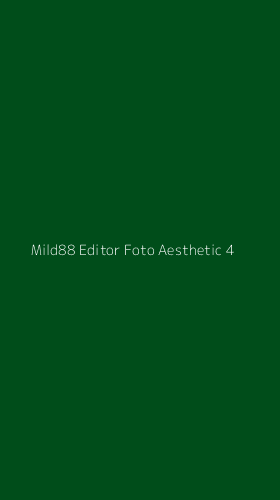 Tampilan Antarmuka Aplikasi Mild88 Editor Foto Aesthetic - 4