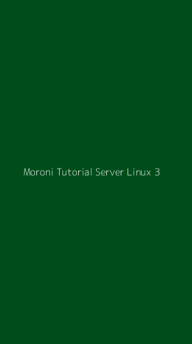 Tampilan Antarmuka Aplikasi Moroni Tutorial Server Linux - 3