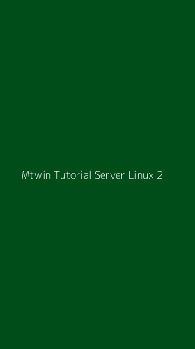 Tampilan Antarmuka Aplikasi Mtwin Tutorial Server Linux - 2