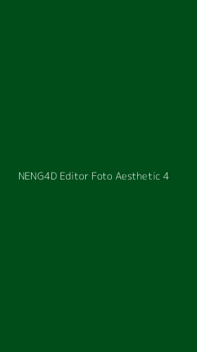 Tampilan Antarmuka Aplikasi Neng4d Editor Foto Aesthetic - 4