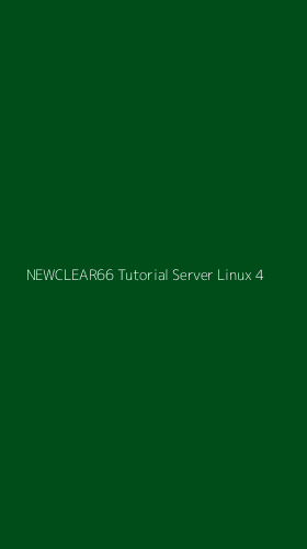 Tampilan Antarmuka Aplikasi Newclear66 Tutorial Server Linux - 4