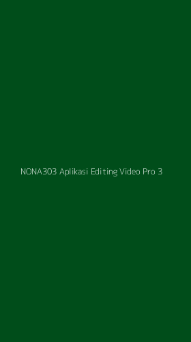 Tampilan Antarmuka Aplikasi Nona303 Aplikasi Editing Video Pro - 3