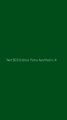 Tampilan Antarmuka Aplikasi Net303 Editor Foto Aesthetic - 4
