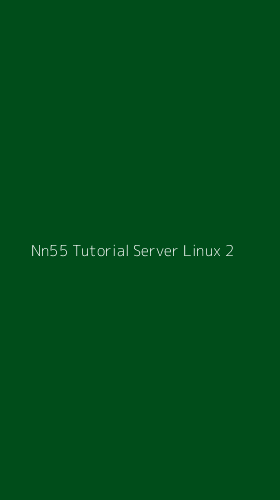Tampilan Antarmuka Aplikasi Nn55 Tutorial Server Linux - 2