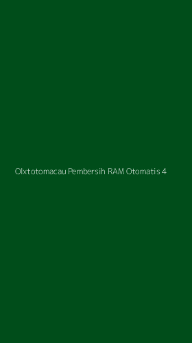 Tampilan Antarmuka Aplikasi Olxtotomacau Pembersih Ram Otomatis - 4