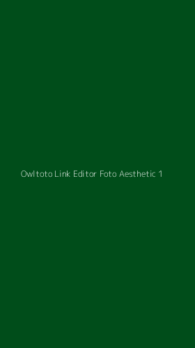 Tampilan Antarmuka Aplikasi Owltoto Link Editor Foto Aesthetic - 1