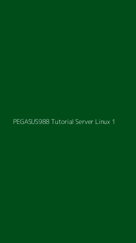 Tampilan Antarmuka Aplikasi Pegasus988 Tutorial Server Linux - 1