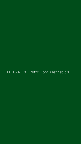 Tampilan Antarmuka Aplikasi Pejuang88 Editor Foto Aesthetic - 1