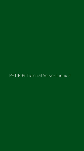 Tampilan Antarmuka Aplikasi Petir99 Tutorial Server Linux - 2