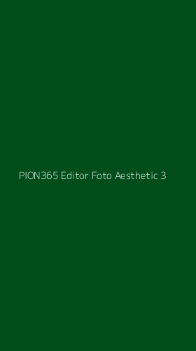 Tampilan Antarmuka Aplikasi Pion365 Editor Foto Aesthetic - 3